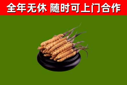 咸宁烟酒回收冬虫夏草.jpg